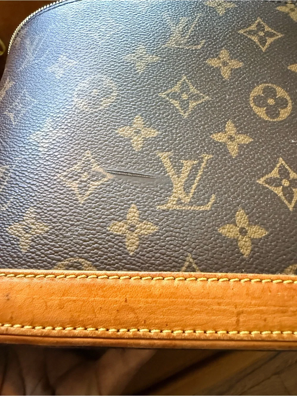 Louis Vuitton Case